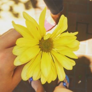 Meet your Posher, Lily